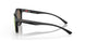 947408 - Black - Prizm Rose Gold Polarized