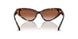 331613 - Havana - Brown Gradient