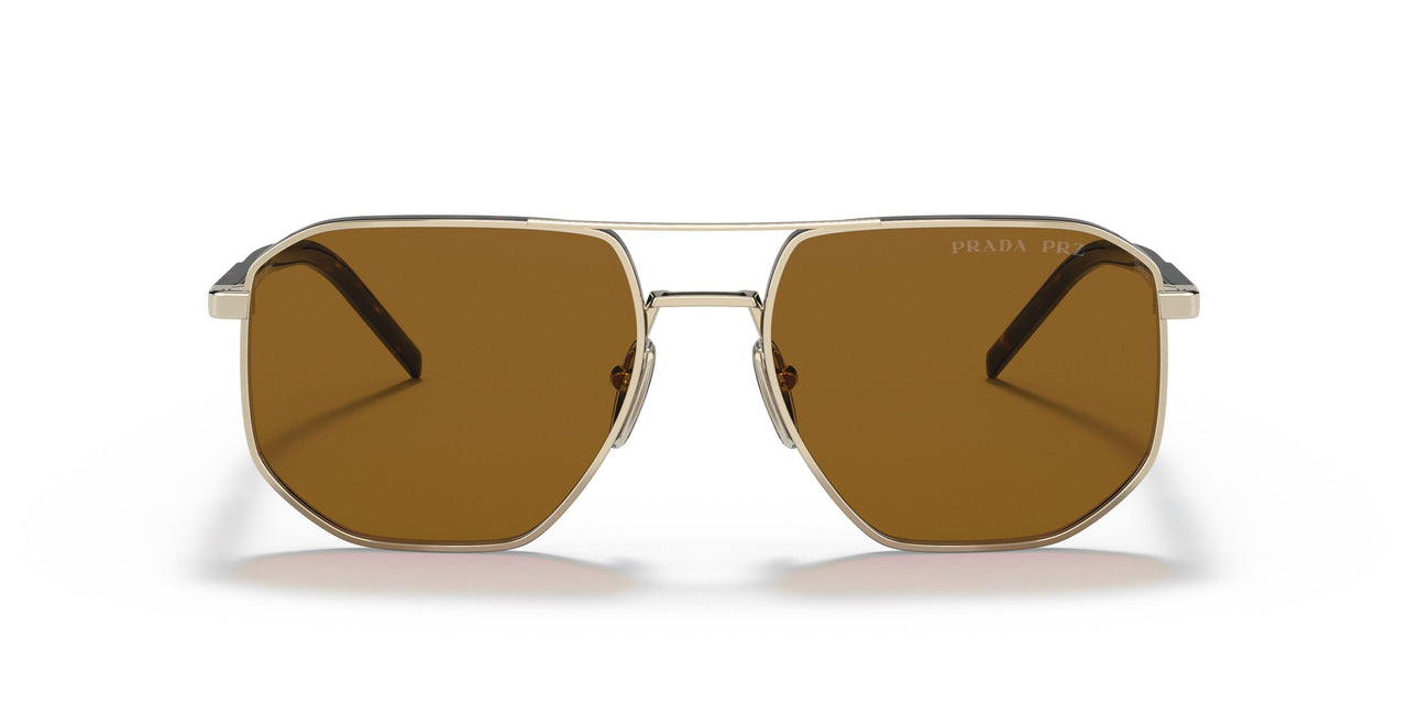 ZVN5Y1 - Gold - Polar Brown