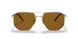 ZVN5Y1 - Gold - Polar Brown