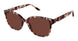 Superflex SFS-2001 Sunglasses