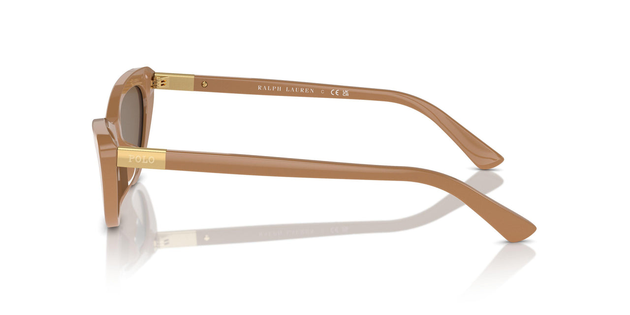 619673 - Brown - Dark Brown