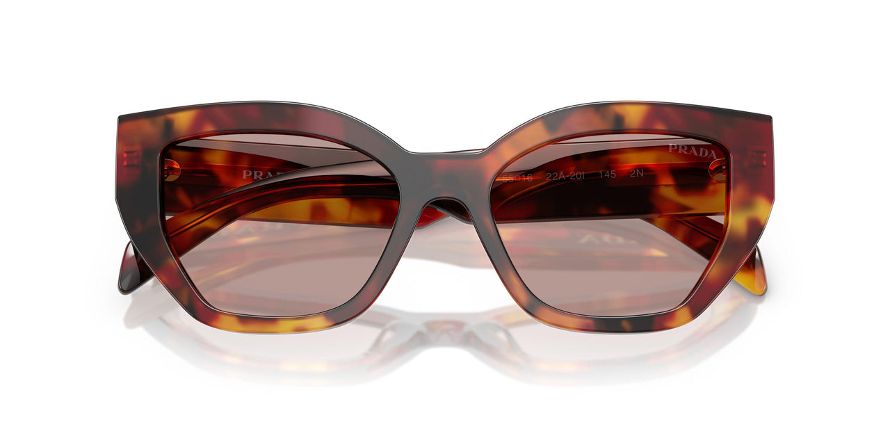 22A20I - Tortoise - Light Purple Brown
