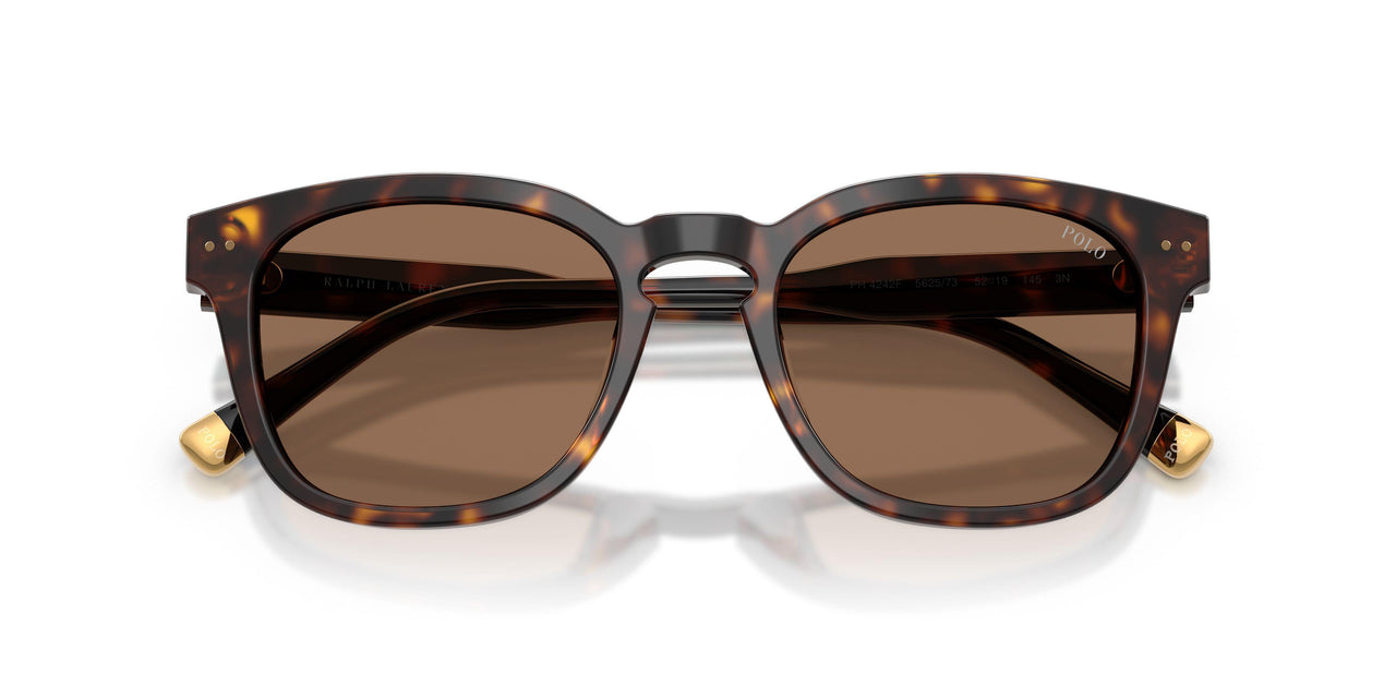 562573 - Tortoise - Dark Brown