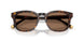 562573 - Tortoise - Dark Brown