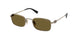 26C09Z - Gold - Dark Brown