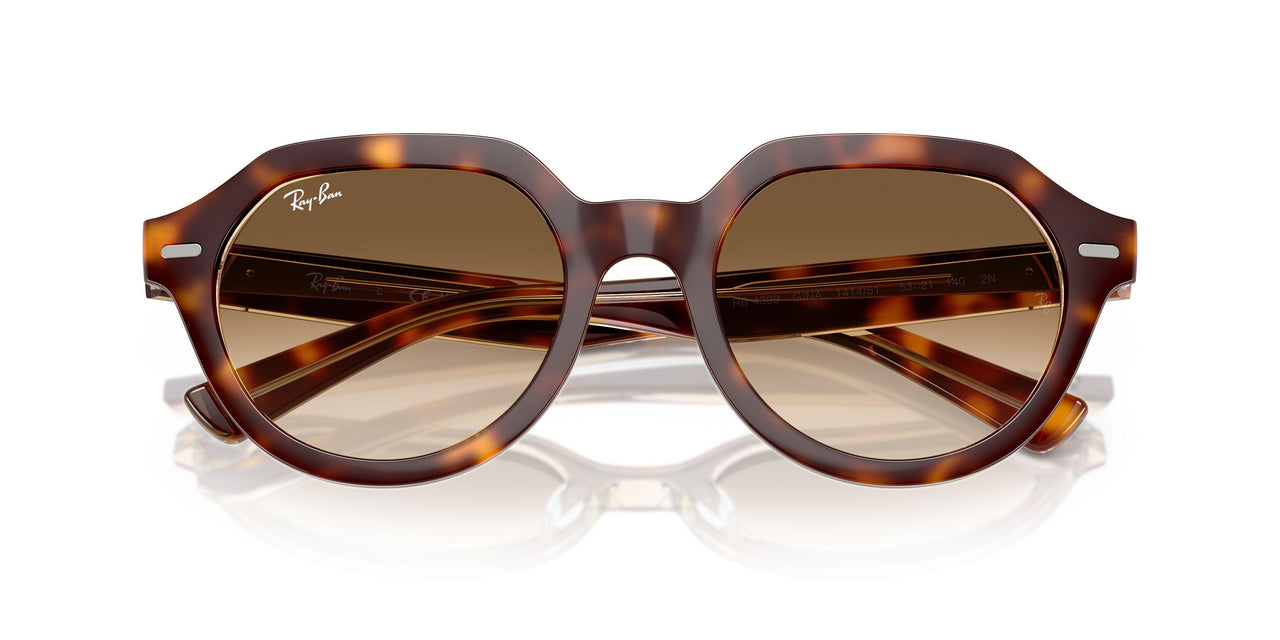 141451 - Tortoise - Clear Gradient Brown