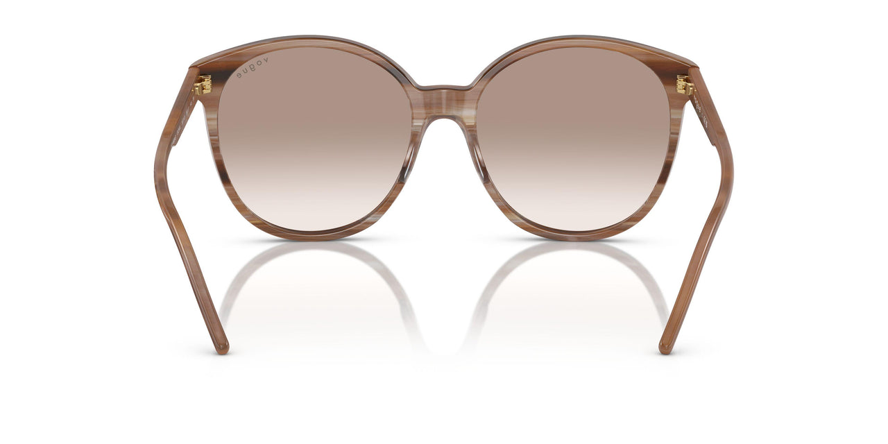 307113 - Light Brown - Clear Gradient Brown