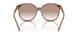 307113 - Light Brown - Clear Gradient Brown