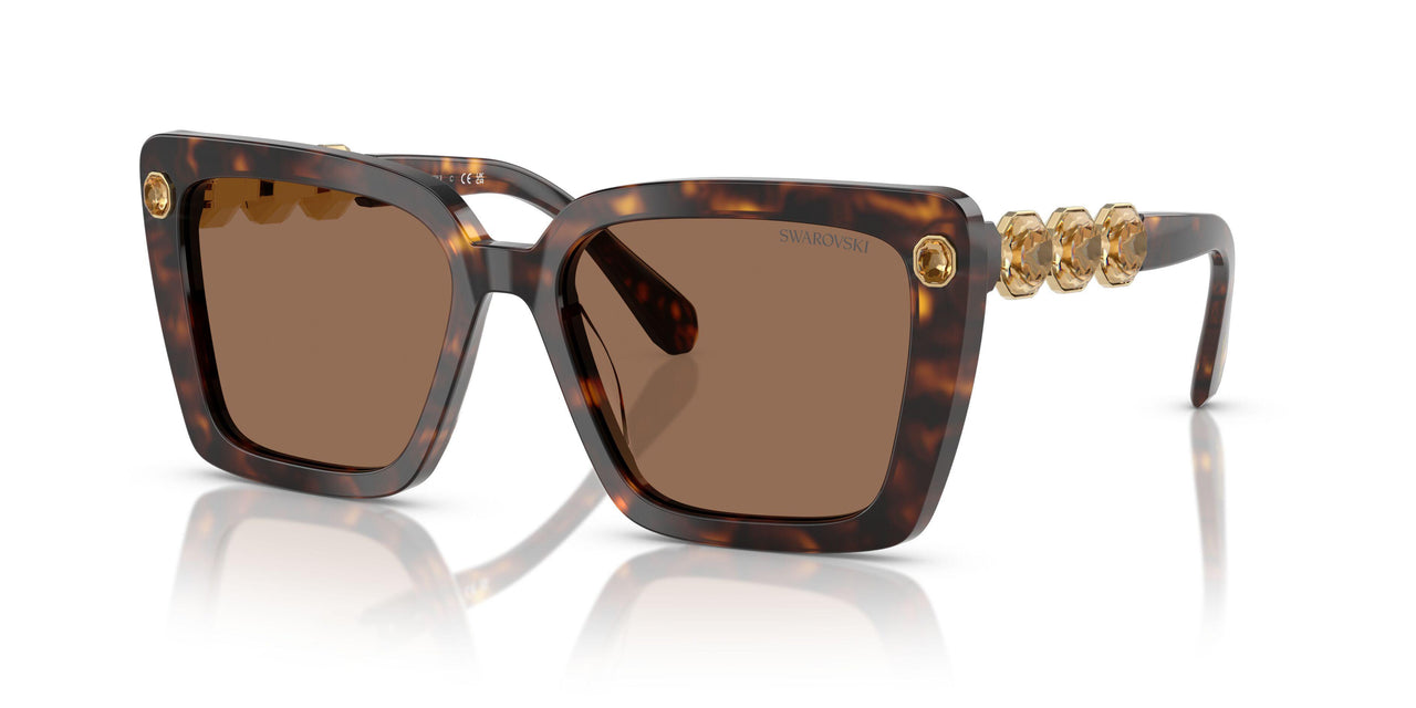 100273 - Tortoise - Dark Brown
