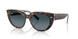 1413S3 - Havana - Blue Gradient Polar