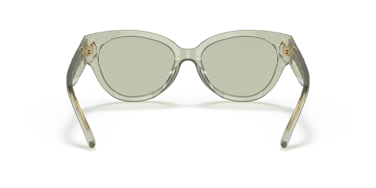 1886/2 - Green - Mint Green Solid