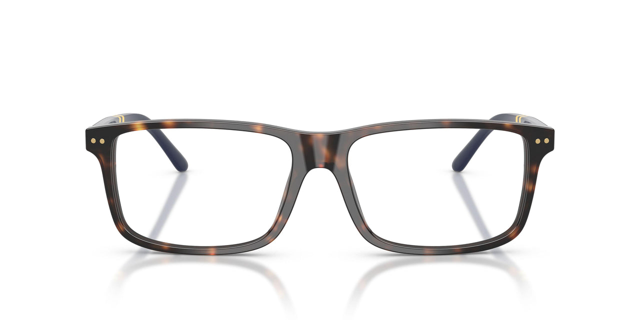 5003 - Tortoise
