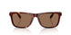 593813 - Tortoise - Brown Solid