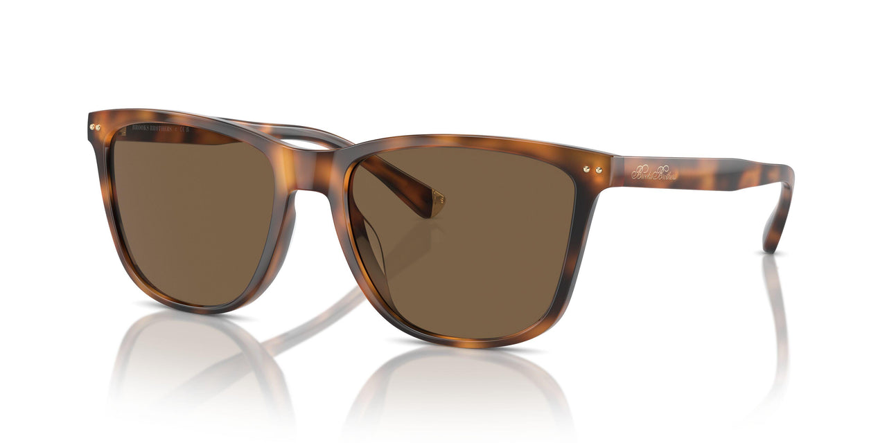 606473 - Tortoise - Dark Brown