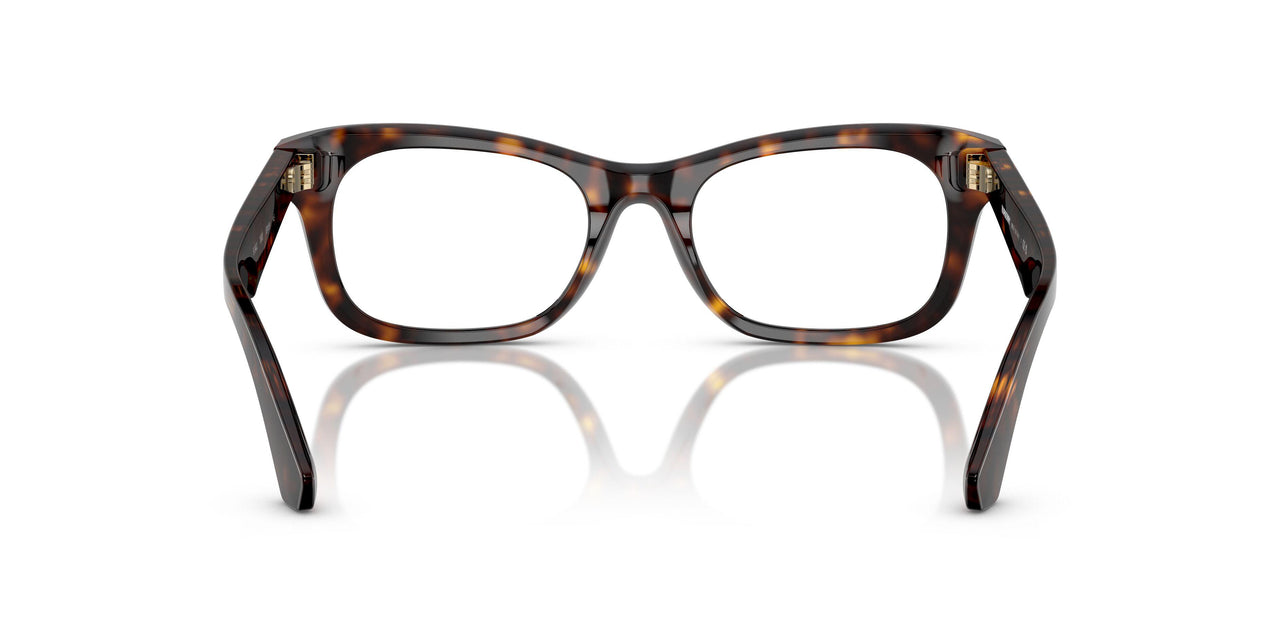 3002 - Brown
