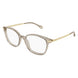 004 - Brown/Gold - Transparent