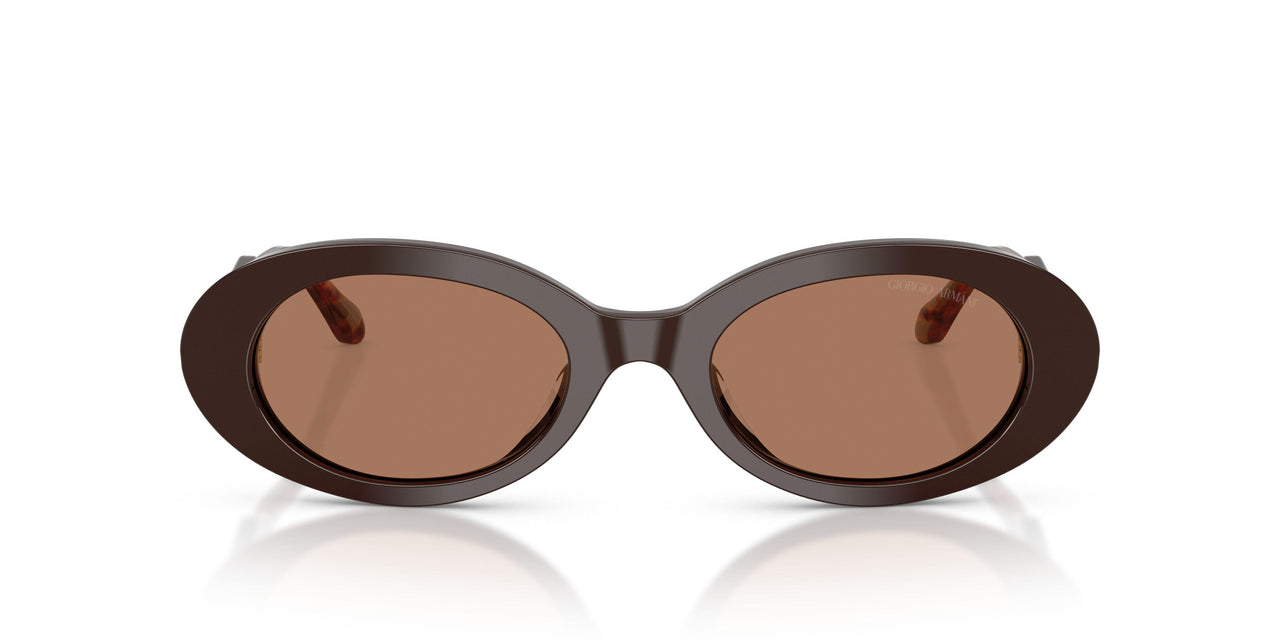 622773 - Brown - Brown