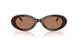 622773 - Brown - Brown