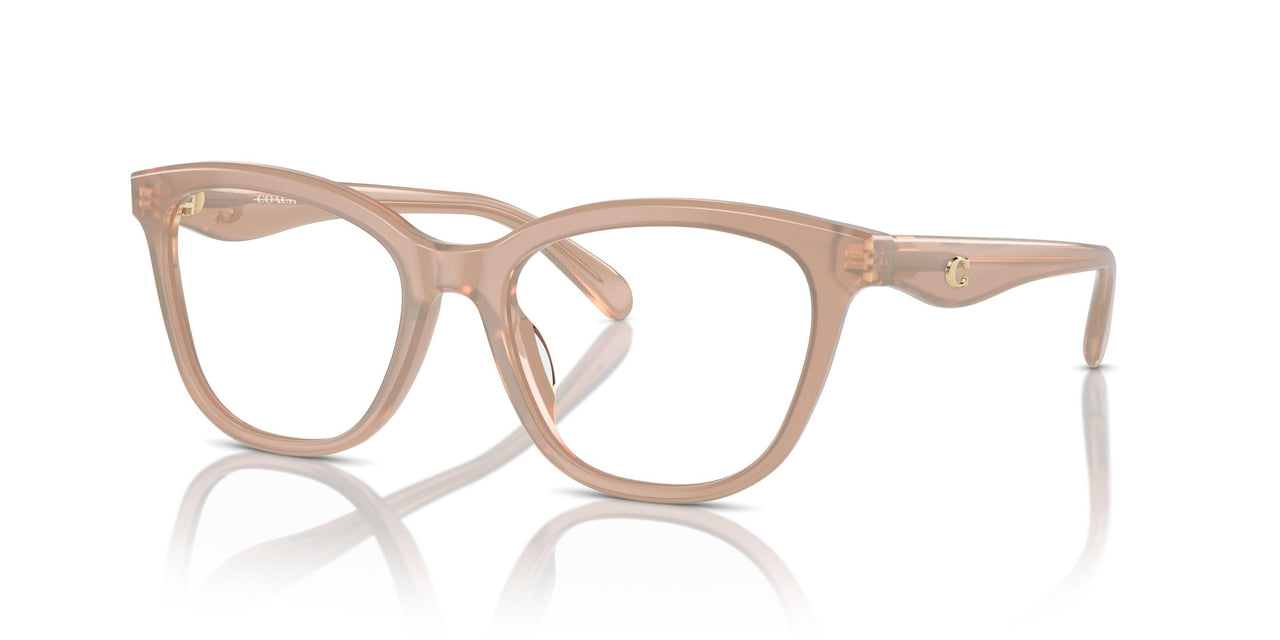 5808 - Brown
