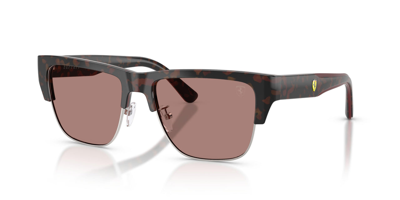760/73 - Tortoise - Brown