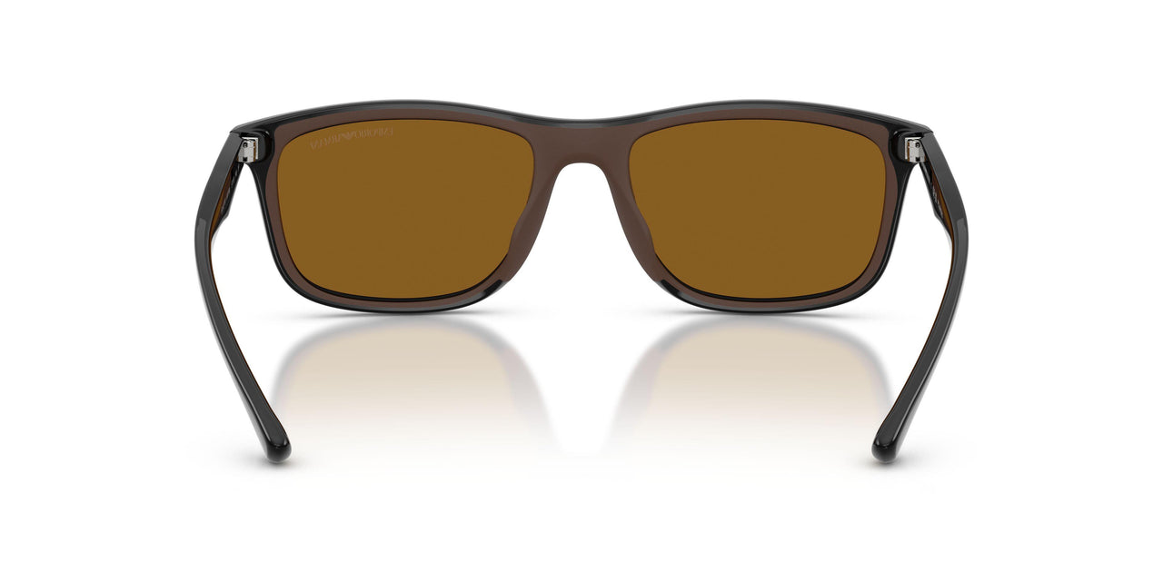 501783 - Black - Dark Brown Polarized
