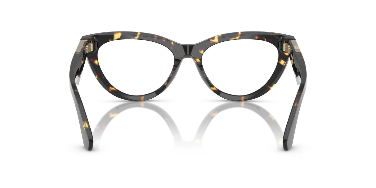 4106 - Tortoise