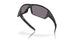 930728 - Black - Prizm Grey Polarized