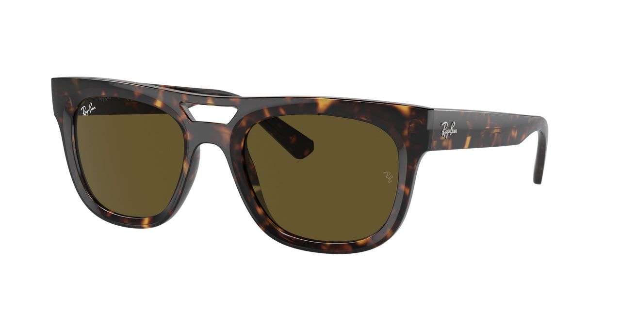 135973 - Tortoise - Dark Brown