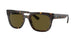 135973 - Tortoise - Dark Brown