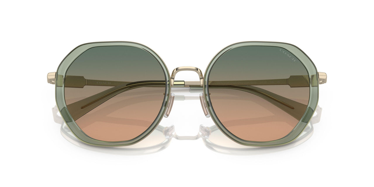 900513 - Green - Green Brown Gradient