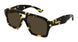002 - Havana - Brown