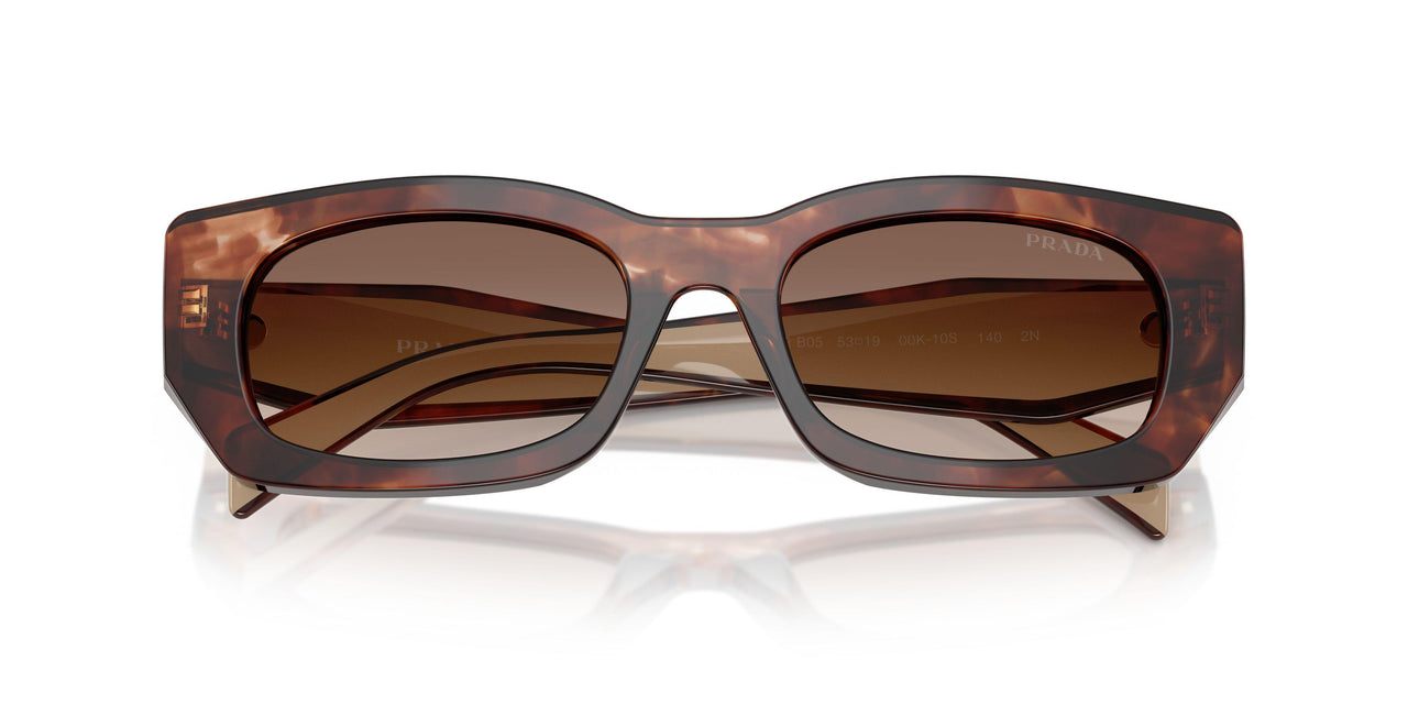 00K10S - Tortoise - Brown Gradient