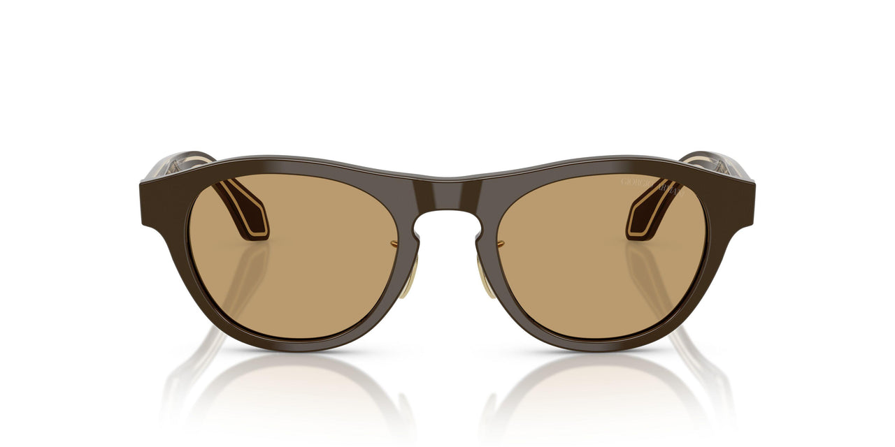 619473 - Brown - Brown