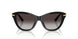 501/8G - Black - Light Grey Gradient Black