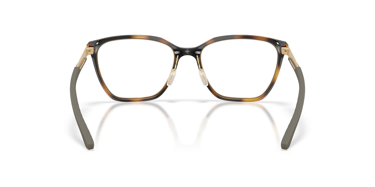 801304 - Tortoise