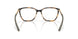 801304 - Tortoise