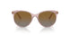 2942T5 - Pink - Grey Gradient Brown Polar