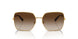 02/13 - Gold - Brown Gradient