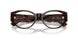 5429 - Tortoise - Clear