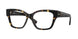 4106 - Tortoise