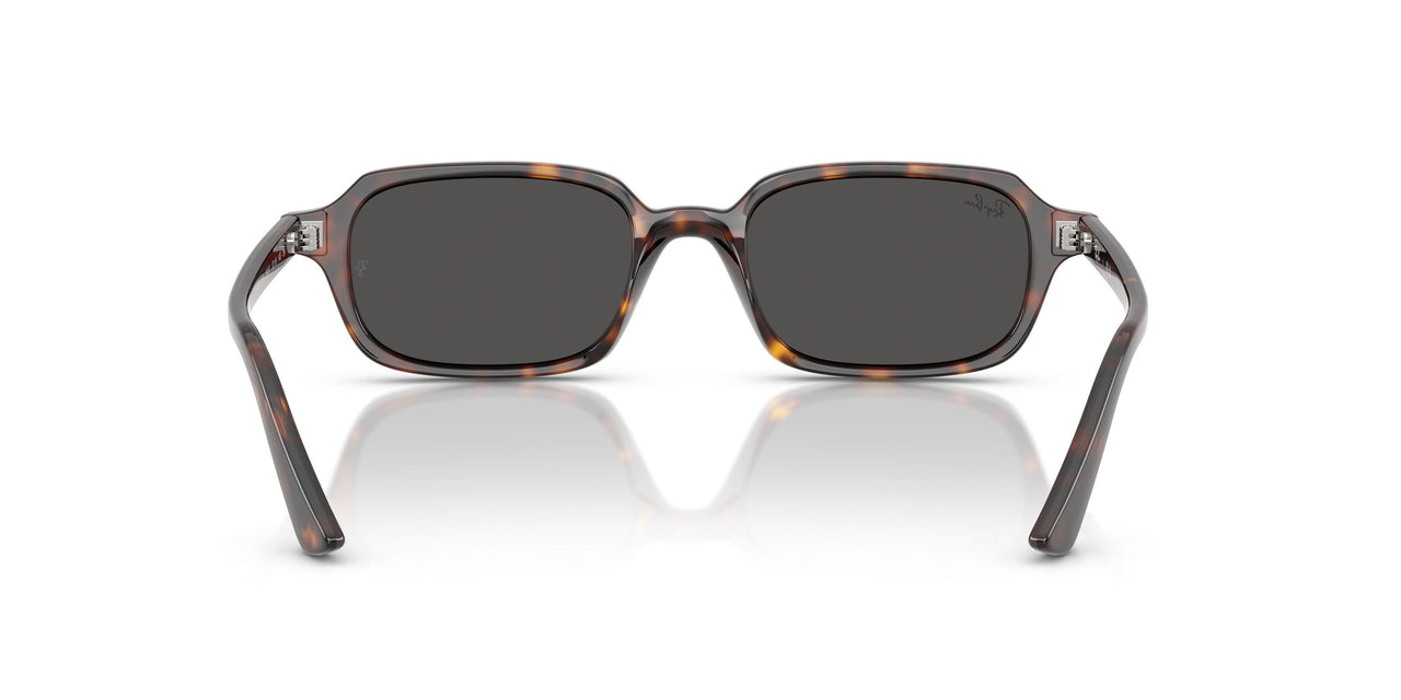 135987 - Tortoise - Dark Grey