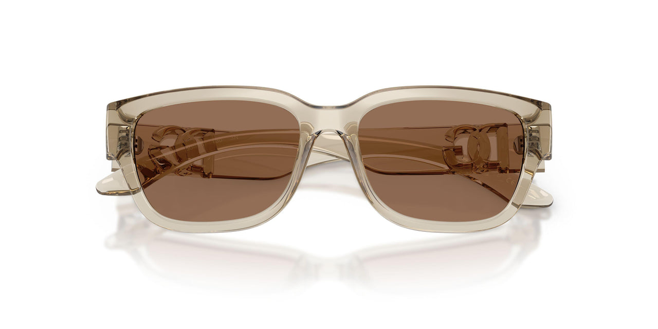 329173 - Brown - Dark Brown