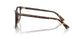 5002 - Tortoise