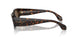 612473 - Tortoise - Dark Brown
