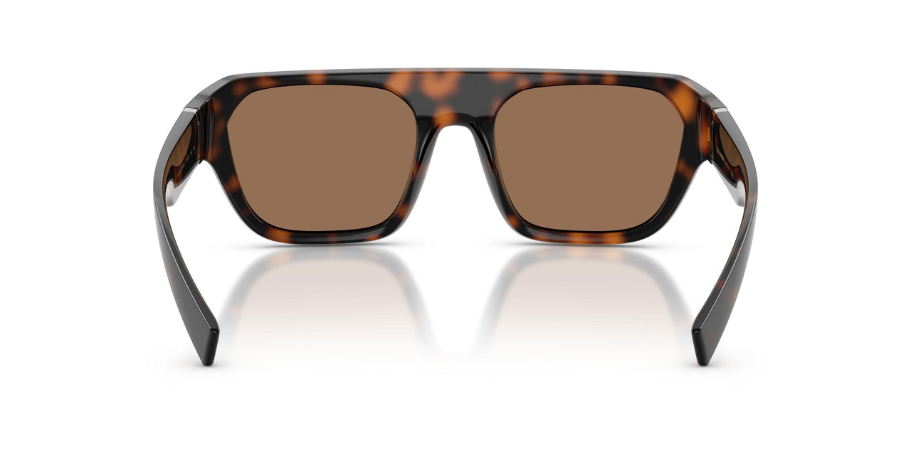 502/73 - Tortoise - Dark Brown