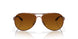 407914 - Rose Gold - Brown Gradient Polar