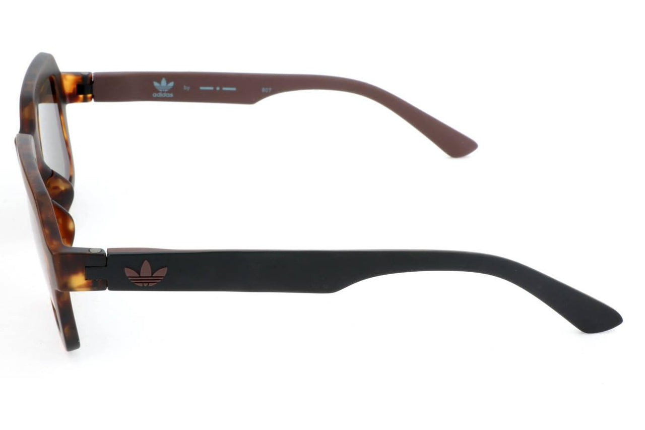 148.009 - HAVANA BROWN AND BLACK