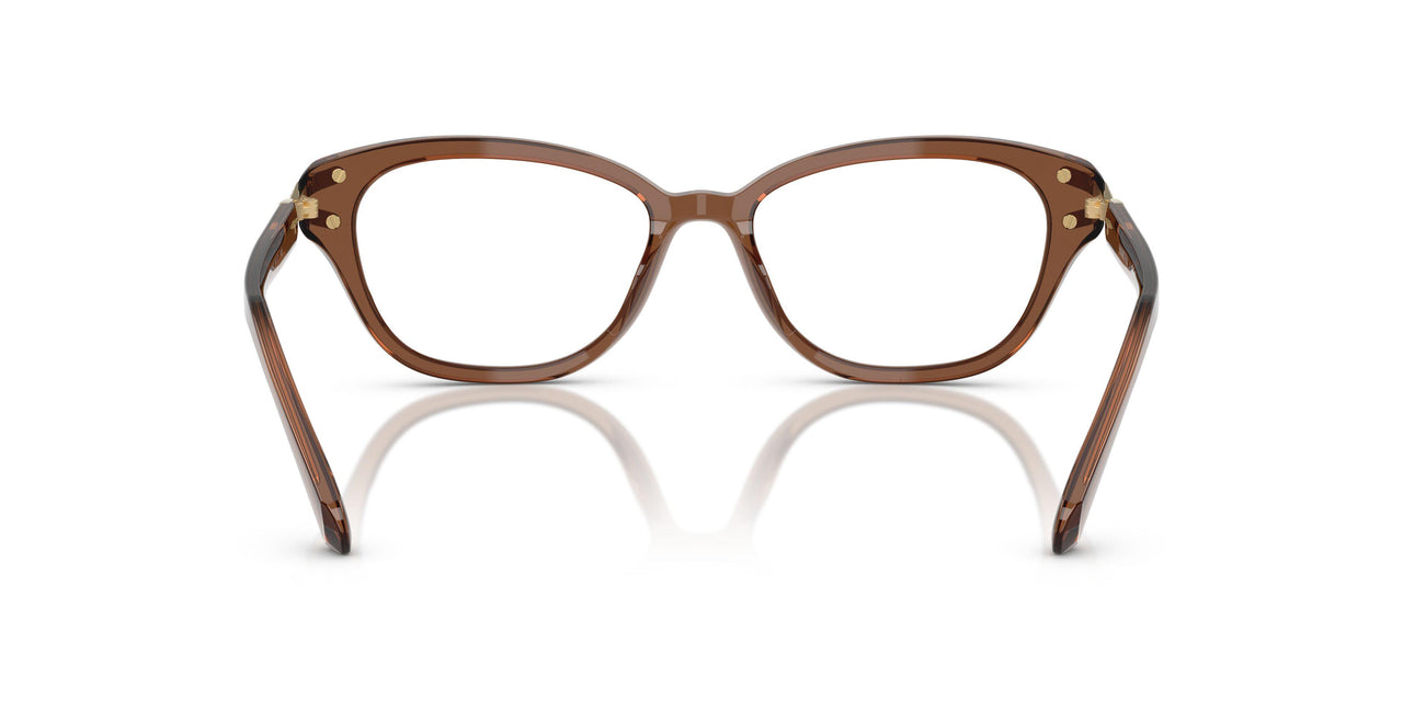 1067 - Brown