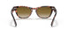 954/57 - Striped Havana - Polar Brown